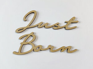 just born ^[oi[  ؐ V@Ԃ@i` Ebh a aP[L 1 o[Xf[tHg@EH[XebJ[@[hoi[
