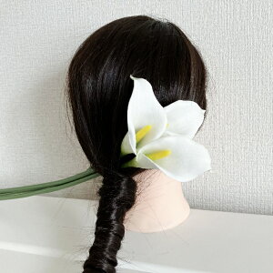 J[[@@EFfBO@@hX@wbhhX@a@l@@S@@U@FŊ|@C@wbhhX@ԁ@ A[eBtBVt[ wb