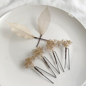 ݑ@S[h@[t@6{Zbg@wbhhX  vU[uht[ hCt[@@wbhs[X@wbhp[c@wAANZT[@ EFfBO uC_ 