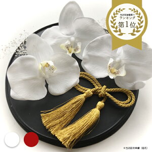 a@@@6_Zbg@S[h@Ӓ@@U@FŊ|@C@wbhhX@ԁ@S[h ݑ@[t@vU[uht[ @wbhs[X@wAAN