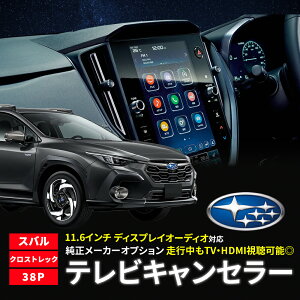 erLZ[ Xo NXgbN GUD GUE GUF ߘa4N12` TVLZ[ fBXvCI[fBI [J[IvV W 11.6C` ir erLbg I[g^Cv 38P 