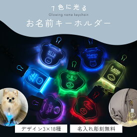 キーホルダー 光る LED 犬 夜間 名入れ 名前入り オリジナルグッズ 迷子札 子供 ネームタグ ネームプレート かわいい おしゃれ 夜道 安全 お散歩ライト ペット 愛犬 うちの子 交通安全 セーフティライト ランドセル 入園 入学 準備 プレゼント 推し活