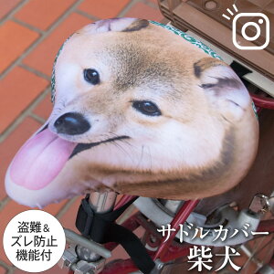 ThJo[ t[TCY Č tJ[`CAP ]ԃJo[ ւ  J  }}` dAVXg] h~ LY  ʃTCY ^TCY t[TCY M