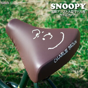 ThJo[ ^ ̂с[`CAP BIG rbO Xk[s[ tFCX `[[uE ] d] AVXg ^Th h J ]ԃJo[ 킢 LY  Mtg v[