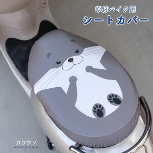 toCN XN[^[ V[gJo[ tJ[ `CAP JE\ yM CR qyM V[gJo[ ` toCN ͂ h~ V[g Jo[  LY  B