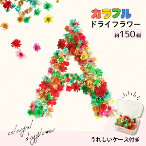 y hCt[z Wf Jt 150 P[X WNtg | p[c ANZT[f fR lC hC  t ~bNX n[oE  ԍ {