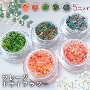 y hCt[zt[NhCt[ 5F hCt[ Pi ܂Ƃߔ ~bNX Ԃт ԍ Wp lC ANZT[p[c W   Jt  ANZ