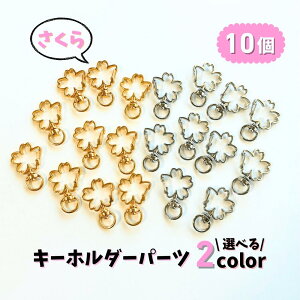 y L[z_[ p[cz JjJ iXJ Iׂ2F 10 ܂Ƃߔ  S[h Vo[  obO`[ XibvtbN Ailes G[