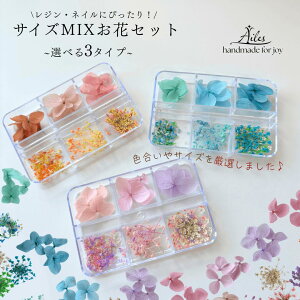 y hCt[z W lC hCt[ nhChf t[A\[g lCA[g 傫 ԃ~bNX ԃlC nhCh i` {^jJ