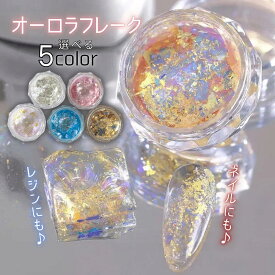 【オーロラフレーク】【送料無料】 ネイル レジン 単品 5色セット キラキラ 偏光 ネイルアート レジンアート セルフネイル ジェルネイル レジン＆ネイル対応 Ailes エール