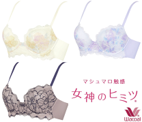 新品　女神のヒミツ　D65　セット 楽天市場】ワコール 女神のヒミツ ブラジャー d65（インナー