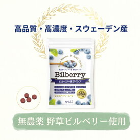 〈P10倍〉高濃度 スウェーデン産天然 ビルベリー&ルテイン サプリメント 250mg 1か月分 濃縮ビルベリー美アイケア 野草 無農薬 スウェーデン産 天然 ビルベリーサプリ マリーゴールド色素ルテイン 目のサプリ 目 目のサプリメント 視界 ぼやけ アントシアニン ピント
