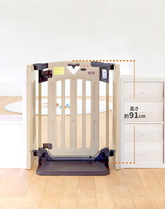 {玙@LbYp[e[Vv x[XZbg 5019010001/ PRO@xr[Q[g LbYQ[g u ȒP p[eBV d؂ K[h ؂ q Ԃ ͂ ۈ牀  ۈ珊 