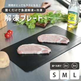 【クーポン利用で1368円〜】解凍プレート まな板 時短 急速解凍 粗熱取り クイックプレート 薄型 軽量 アルミ合金 冷凍 収納抜群 粗熱 粗熱取り 肉解凍 ギフト 自然解凍 時短料理 キッチン 時短料理