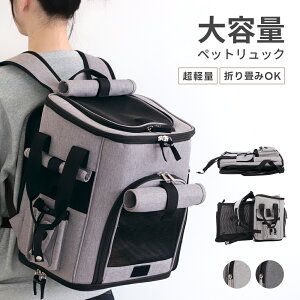 yN[|p40OFFz ybgL[ ܂ bN e ʋC obNŒ t ډBJo[ bVf [|Pbg hNz_[iTj