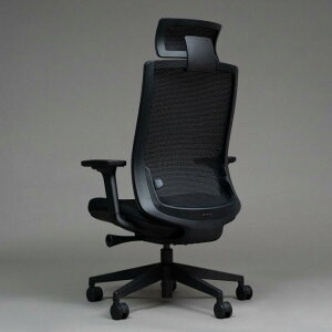 AIMchair(エイムチェア) メッシュ オフィスチェア ワークチェア ゲーミングチェア リクライニング 人間工学 おしゃれ シンプル 高密度ウレタン 最大123° 座面前後調節 aim-01