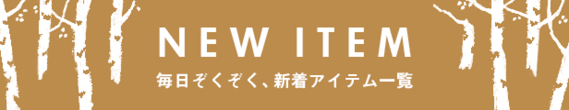 NEW ITEM（固）