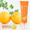 【最大12％OFFクーポン！】石澤研究所 植物生まれのオレンジ地肌クレンジング 130g [スカルプケア ノンシリコン 弱酸性] | オレンジ 地肌 クレンジング 頭皮クレンジング 頭皮 臭い ジェルクレンジング クレンジングジェル 角質 毛穴 皮脂
