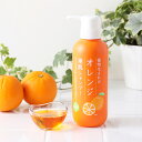 【最大12％OFFクーポン！】石澤研究所 植物生まれのオレンジ地肌シャンプーS ポンプタイプ 400ml スカルプケア ノンシリコン ノンパラベン シャンプー ヘアシャンプー ノンシリコンシャンプー ヘアケア 頭皮ケア オレンジシャンプー | 地肌