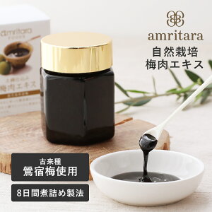 y11/10IIōő100%|CgobNzA^[ amritara R͔| ~GLX 50g e Y R͔| h~ ~GLX ~Hi N `@ ~ ~l