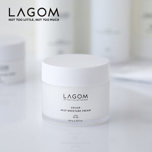 yő12OFFN[|IzLAGOMiSj fB[vCX`[N[ 60ml XLPAN[ tFCXN[ N[ ێN[ ێ ێ   ؍RX ؍