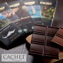 【最大15%OFFクーポン】CACHET（カシェ）チョコレート 6種 各100g | チョコ Chocolate オーガニックシーソルト キャラメル＆シーソルト ミルクチョコレート ラズベリー ヘーゼルナッツオレンジ ダークチョコレート ハイカカオ ベルギー 板チョコ