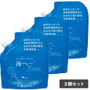 【最大12％OFFクーポン！】【公式】【3個セット】海へ Fukii 洗濯洗剤 380g がんこ本舗 詰替パック 環境洗剤 (エコ洗剤) 衣類用 ランドリー用 液体洗剤 洗濯洗剤 洗濯用洗剤 ナチュラル洗剤 がっちりマンデー THE TIME