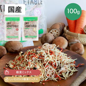 y11/1IIōő100%|CgobNzGREEN BASEiO[x[Xj hCxW  ؃~bNX 荪؃~bNX 100ghCxW^u ؃~bNX Jbg Z 