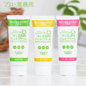 y11/25IIōő100%|CgobNzvEƖp nhN[ 60g  䂸 ̂΂ nhPA ێ VRێ e VRR x^Ȃ Ƃ  v