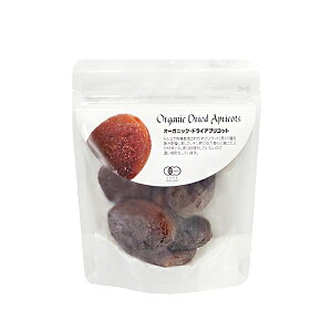 y11/1IIōő100%|CgobNzi`Lb`@I[KjbNEhCAvRbgi픲j80g ^ L@JAS L@͔|  hCt[c _CGbg Je H@