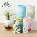 【7/10限定！抽選で最大100%ポイントバック】第3世界ショップ Artisan Tea 6包 | ティー 紅茶 アールグレイ ダージリン ブラックティー 烏龍茶 台湾烏龍茶 ギフト プレゼント 贈り物 お茶