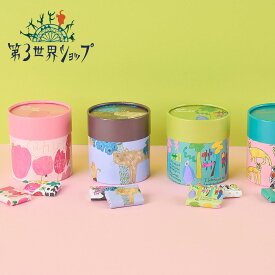 第3世界ショップ Artisan アートBOX 5.5g×8個 | チョコレート チョコ ミルクチョコレート 期間限定 秋冬限定 冬季限定 一口サイズ 個包装 アート フェアトレード プレゼント ギフト