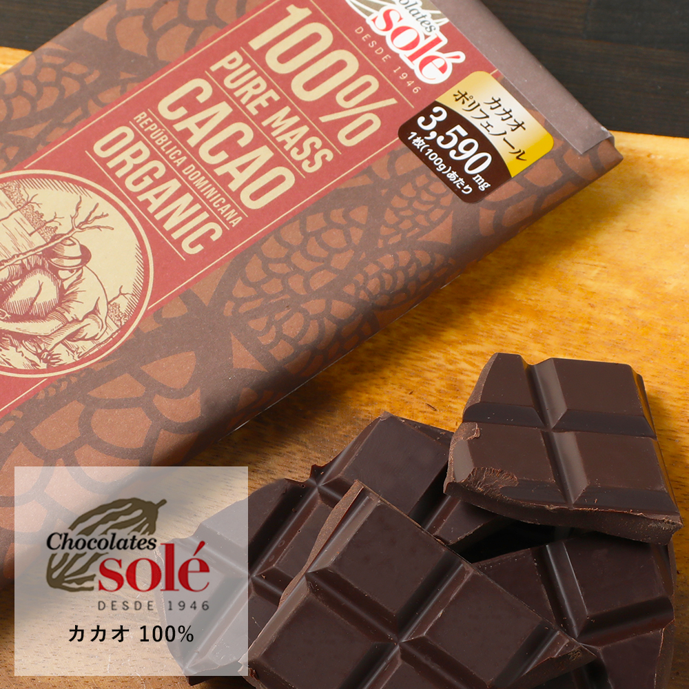 Chocolate Sole（チョコレートソール） ダークチョコレート 100％ 100g 板チョコ チョコ ダーク グルテンフリー カカオマス ナッツ フルーティー カカオ豆 カカオポリフェノール ハイカカオ 有機JAS ギフト