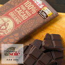 【最大15%OFFクーポン】Chocolate Sole（チョコレートソール） ダークチョコレート 100％ 100g | 板チョコ チョコ ダーク グルテンフリー カカオマス ナッツ フルーティー カカオ豆 カカオポリフェノール ハイカカオ 有機JAS ギフト