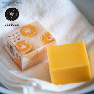 y9/18IIōő100%|CgobNzyaetoco (GgR) ɗ\ƂΌ 100g | ɗ\ É X ێ p[ VRR Ό  {fB Ƃ 炳  ׂ