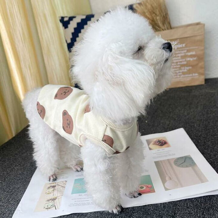 楽天市場 着用動画あり 超可愛い 犬 服 小型犬 ペットウェア お散歩 カットソー ドッグウェア Tシャツ 抜け毛防止 くまちゃん柄 ペット服 犬服 猫服 犬用 ペット用品 サイズ豊富 S Xxl メール便ok A002 送料無料 エメリール