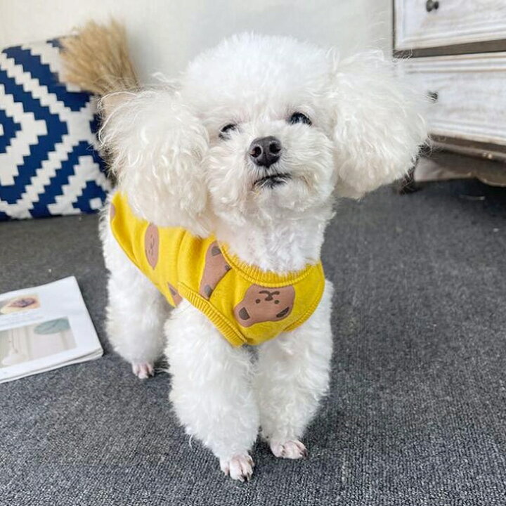 楽天市場 着用動画あり 超可愛い 犬 服 小型犬 ペットウェア お散歩 カットソー ドッグウェア Tシャツ 抜け毛防止 くまちゃん柄 ペット服 犬服 猫服 犬用 ペット用品 サイズ豊富 S Xxl メール便ok A002 送料無料 エメリール