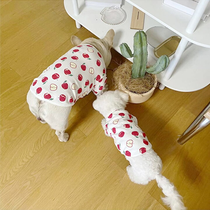 楽天市場】【期間限定20%OFF 1690円→1352円】【春服新作】超可愛い 