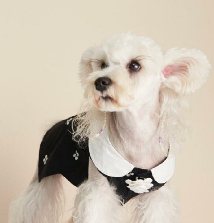 犬服 ドッグウェア お出かけ お散歩 フリルワンピース ペット ペットグッズ 歩きやすい 花柄 73 以上節約 フリルワンピース