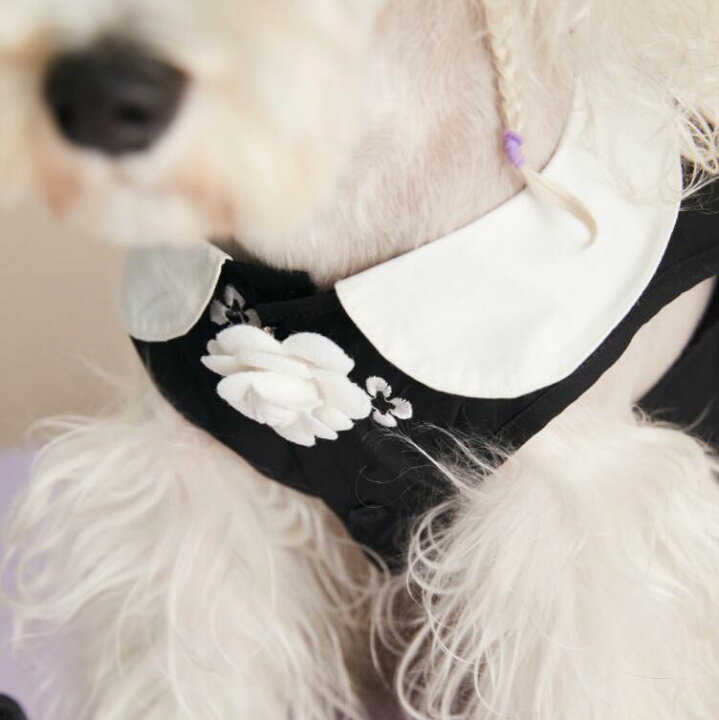 犬服 ドッグウェア お出かけ お散歩 フリルワンピース ペット ペットグッズ 歩きやすい 花柄 73 以上節約 フリルワンピース