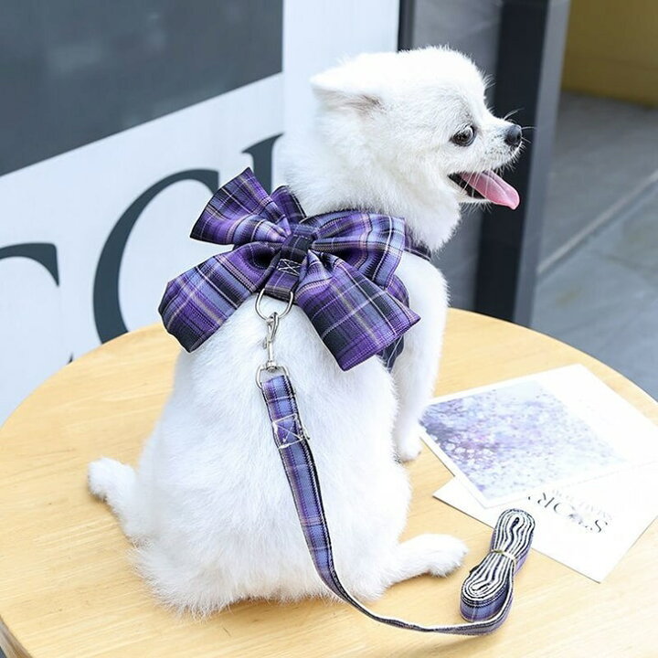 春の新作続々 犬 ハーネス おしゃれ リード 付き 犬のハーネス 猫 小型犬 犬用ハーネス 簡単装着 リボン 犬用 ドレス 胴輪 ペット用 チェック 柄ワンピハーネス リボン ハーネス リード 付 グレー S ドレス 犬 チェック ペット 服