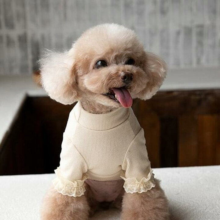 楽天市場 期間限定 ポイント15倍 秋冬新作 超可愛い 犬 服 ペット服 お散歩 お出かけ カットソー かわいい レース フリフリ ペットウェア トップス Tシャツ 犬服 ドッグウェア メール便ok A121 送料無 エメリール