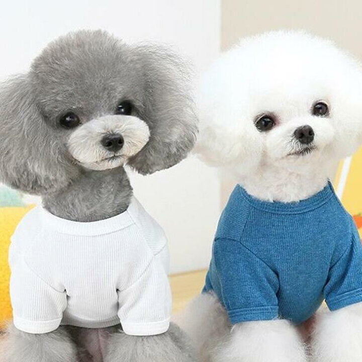 楽天市場 春夏新作 超可愛い 小型犬 リンゴ柄 ペット服 くまちゃん お散歩 ドッグウェア カットソー Tシャツ ペットウェア 犬 服 猫服 ワンちゃん服 サイズ豊富 メール便ok A128 送料無料 エメリール 楽天市場 春夏新作 超可愛い 小型犬 リンゴ柄 ペット服 くまちゃん お散歩 ドッグウェア カットソー Tシャツ ペットウェア 犬 服 猫服 ワンちゃん服 サイズ豊富 メール便ok A128 送料無料 エメリール