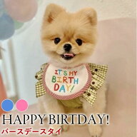 犬 ペット エプロン バースデイ バースデー スタイ ペット 犬 猫 誕生日 記念日 おしゃれ かわいい 男の…