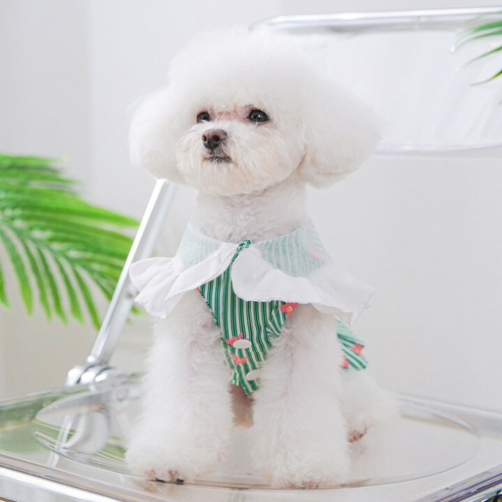 楽天市場 新規 超可愛い 犬 服 小型犬用 女の子 韓国風 ペット服 お出かけ かわいい ドッグウェア ペットウェア お散歩 ワンピース ペット用スカート おしゃれ カラフル サマー 夏 メール便ok A170 送料無料 エメリール