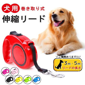 ys50%OFFz [h 莮 [h ^b`ŃbN\ Lk 5m 3m [h U UObY ybgpi pi p Lk[h ϋv  S [h  Lk[