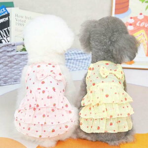 ! 킢   H V ^p ̎q ps[ L~\[  q  t[c s[X { hbOEFA ybgEFA  VA[  t T}