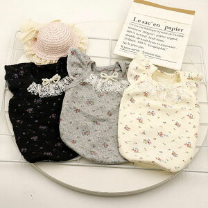 ! ԕ { p[ mg[ K[[ L~\[ Jbg\[ gbvX 킢 d˒ Ci[ p Lp hbNEGA [X   ^ ̎qya352zy