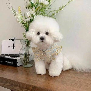   H ^ ̎q t ԕ Jbg\[ f  Vc 킢 {t  m[X[u ybgEFA  i`n K[[ H~  L є