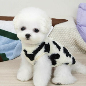 NEW! H~V ! H~   킢  ܂  Ȃ gbvX CX^f xXg xA[ ӂӂ DJ ybgEGA   H~  L  hbNEG